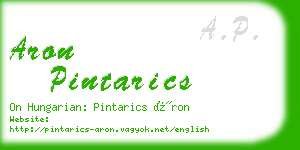 aron pintarics business card